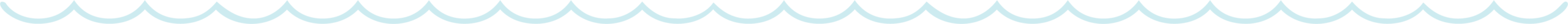 decorative line
